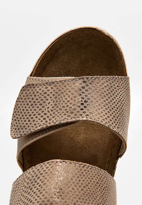 Scholl ABERDEEN
