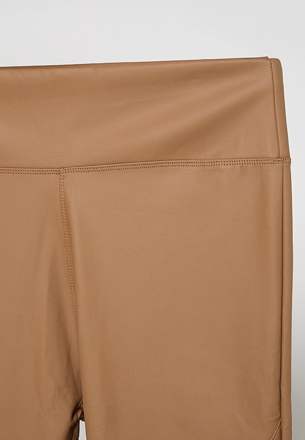 Apricot