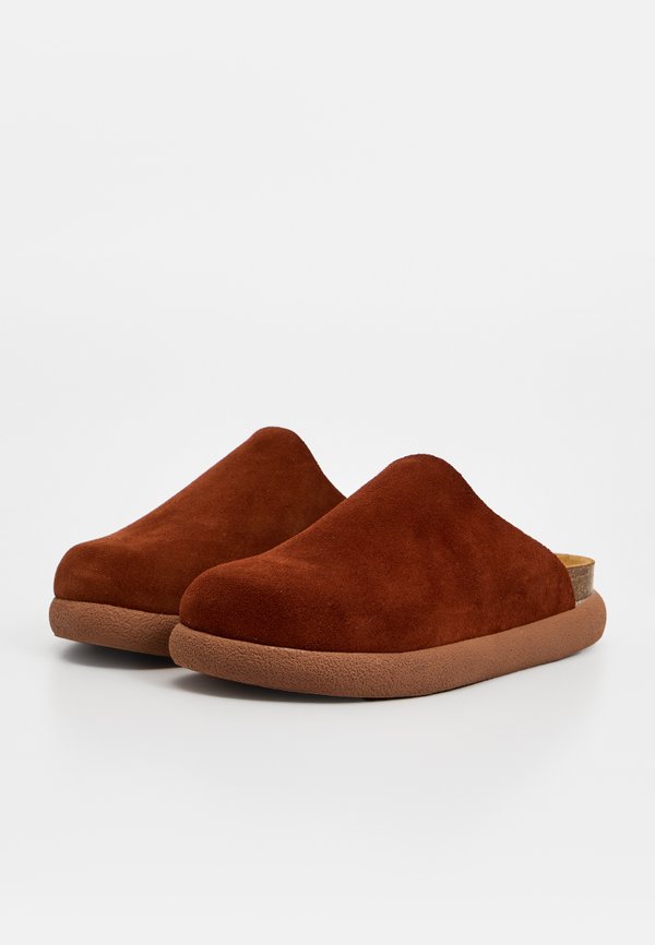 Scholl IVY