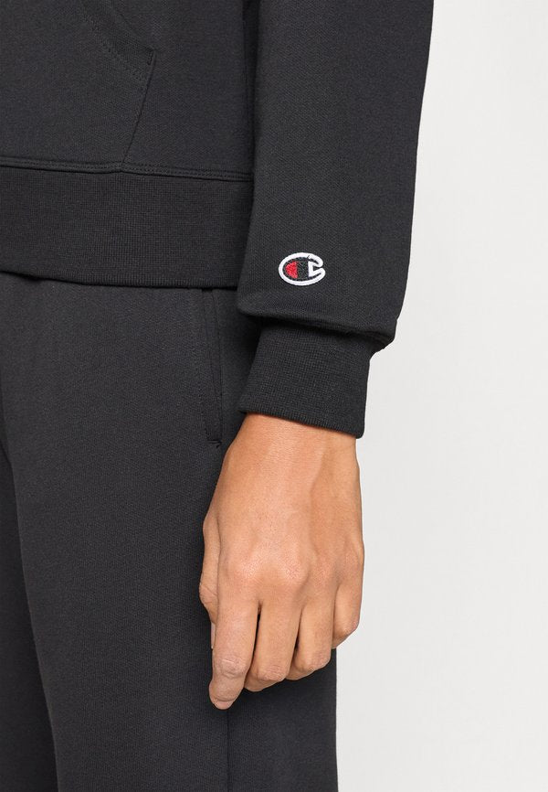 Champion ICONS TONAL HOODIE SWEATSHIRT WITH BIG LOGO