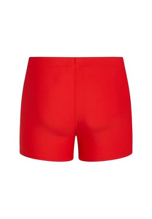 O'Neill ESSENTIALS RACER