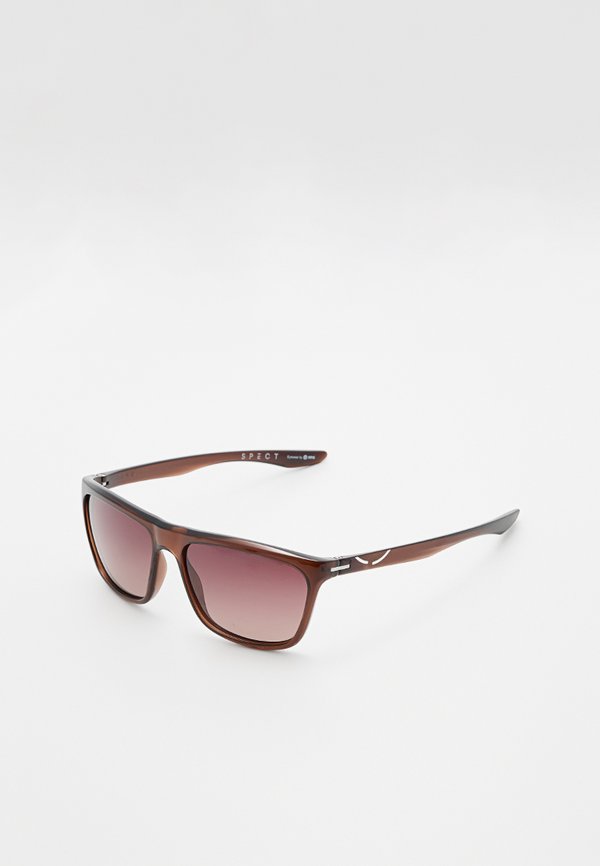 Spect Eyewear DJANGO