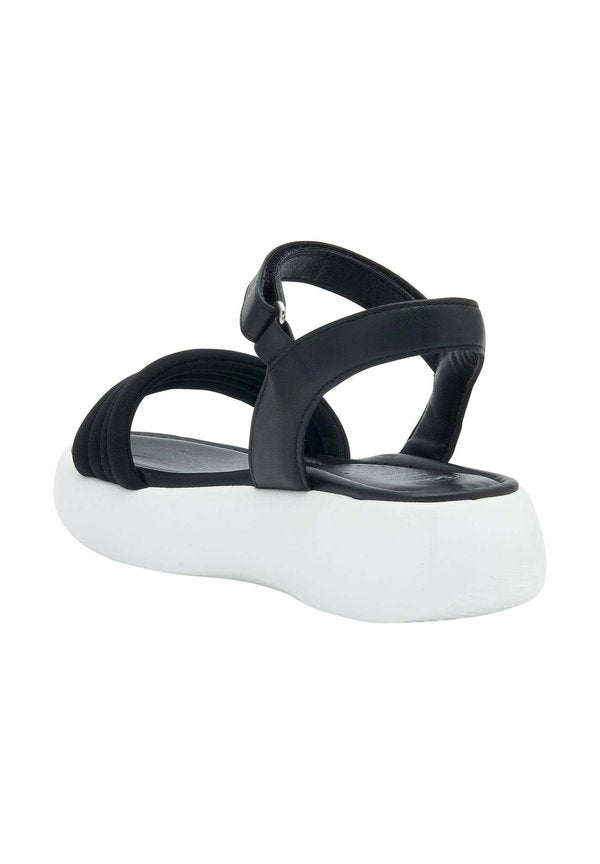 Scholl BOCA