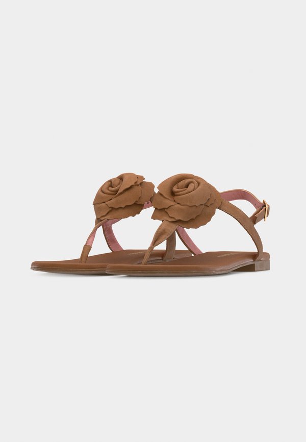 Pretty Ballerinas