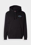Tommy Jeans DOLLAR STACK HOODIE UNISEX