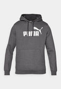Puma ESS NO. 1 LOGO HOODIE FL - Hoodie - dark gray heather