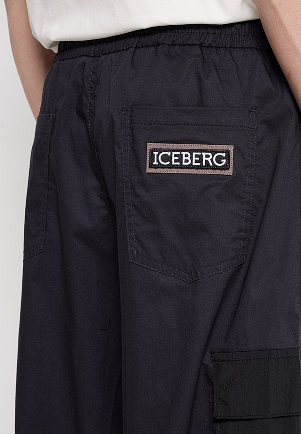 Iceberg