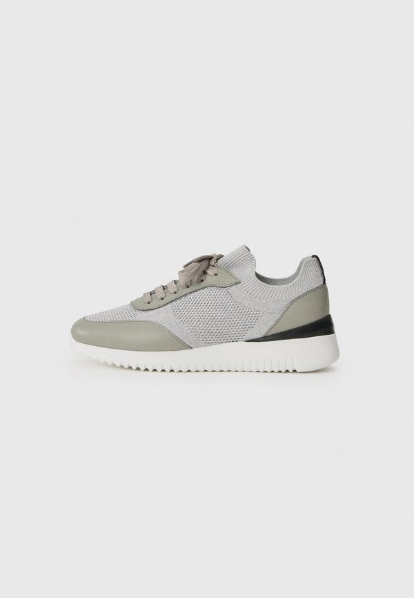 Pollini