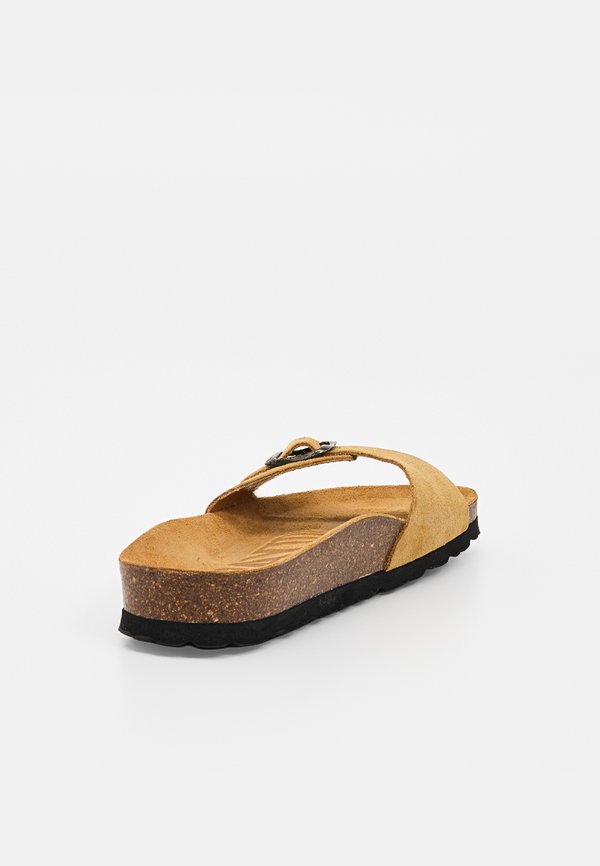 BAYTON ZEPHYR