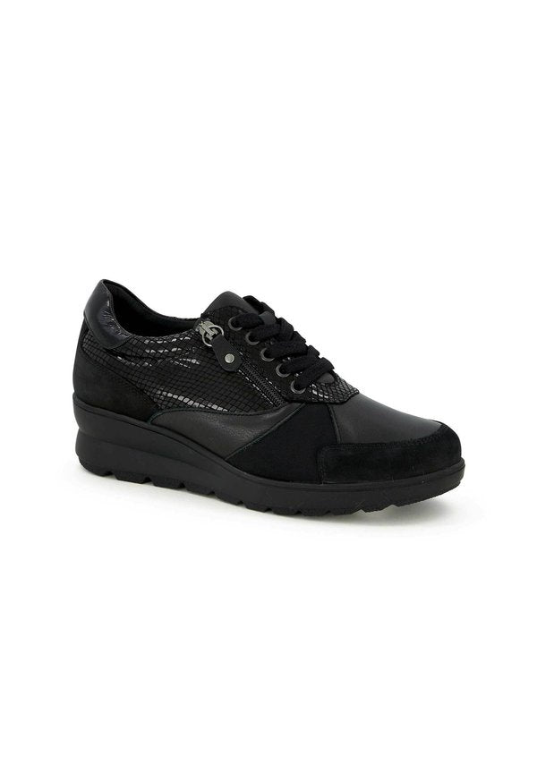Scholl EDDA
