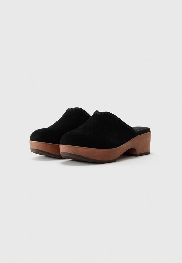 TOMS
