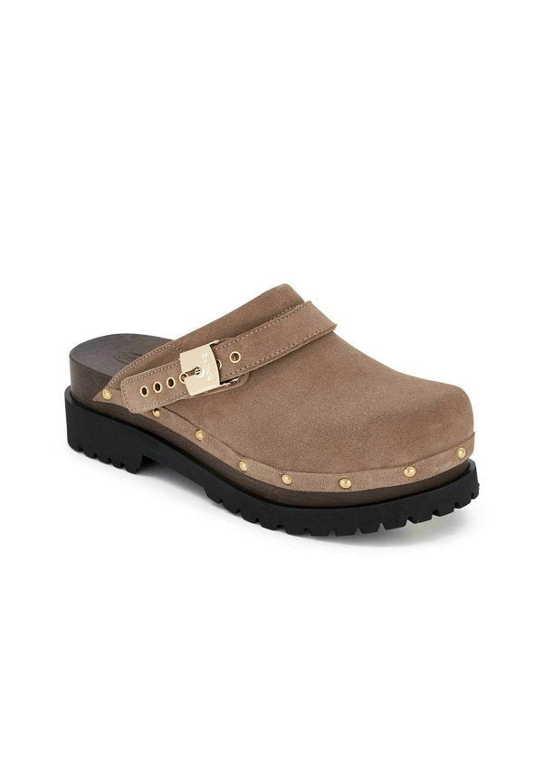 Scholl CINDY
