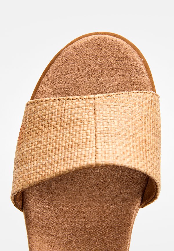 TOMS DIANA