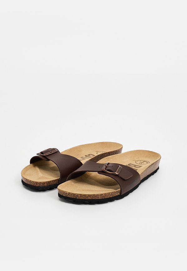 BAYTON ZEPHYR
