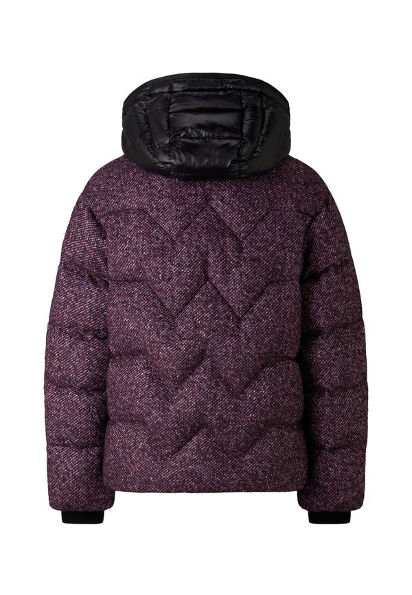 Bogner EVE-D1