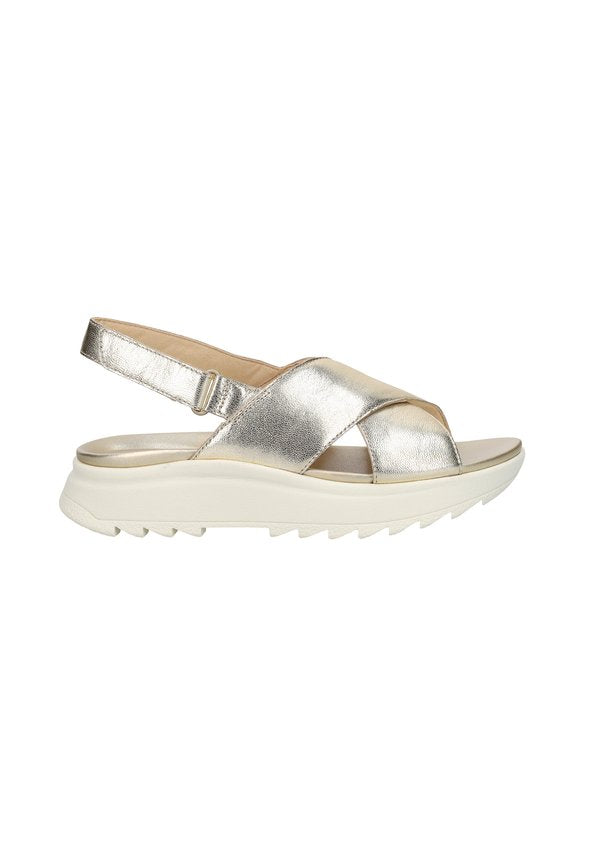 Clarks Originals  DASHLITE WISH