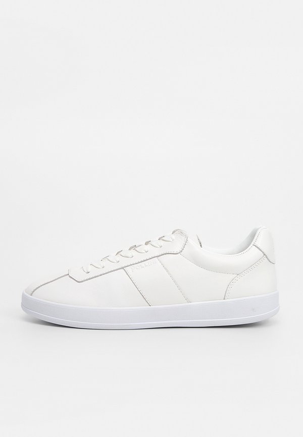 Pollini