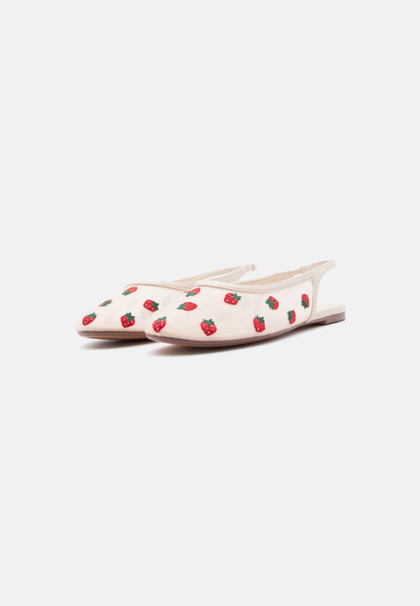 ALDO DROPLET