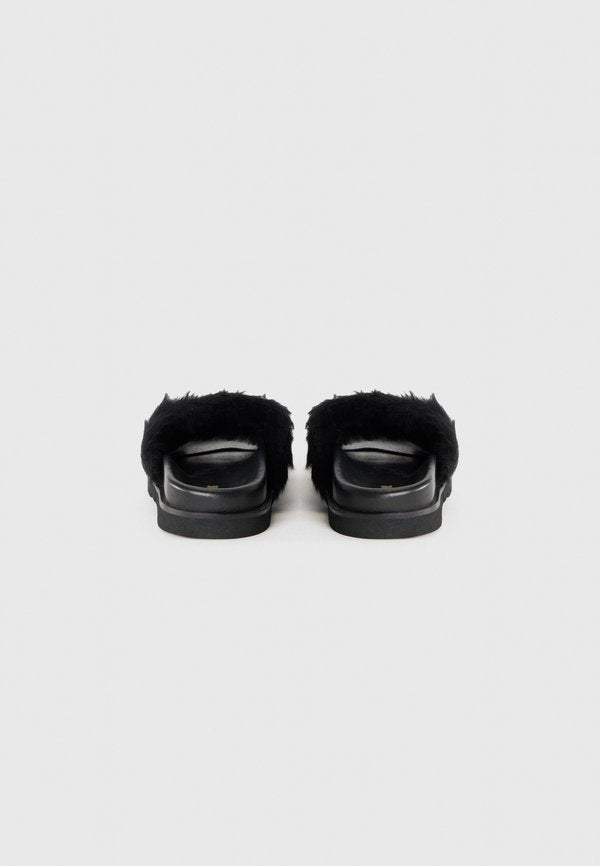 Zadig & Voltaire TEDDY