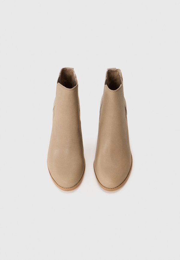 TOMS EVELYN