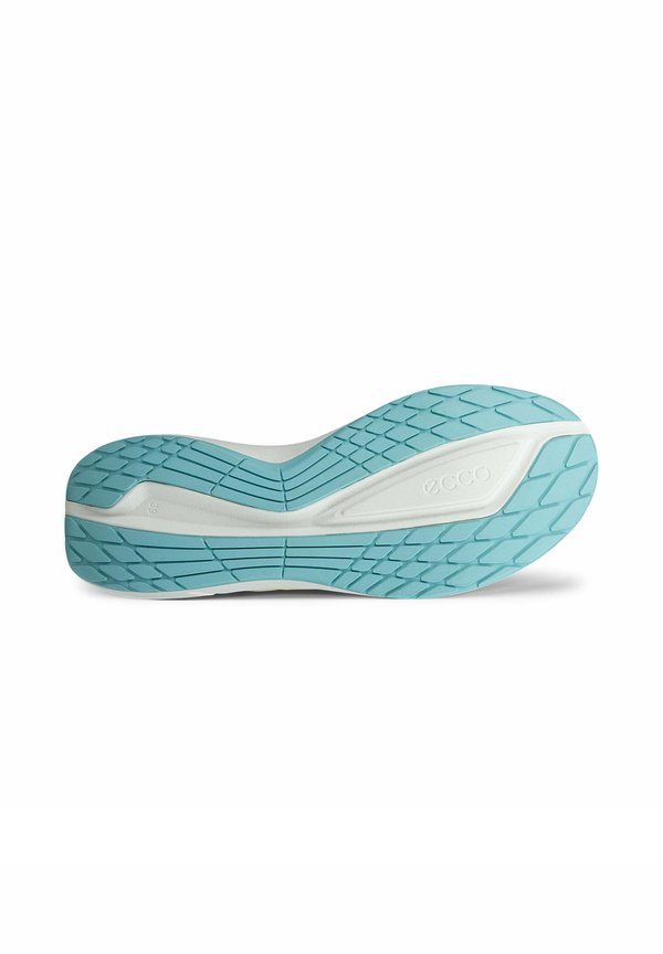 ECCO BIOM 2.2
