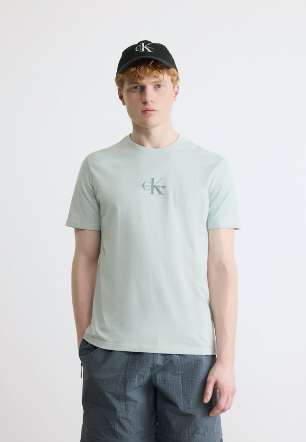 Calvin Klein Jeans MICRO MONOLOGO GRAPHIC - Print T-shirt - pale meadow
