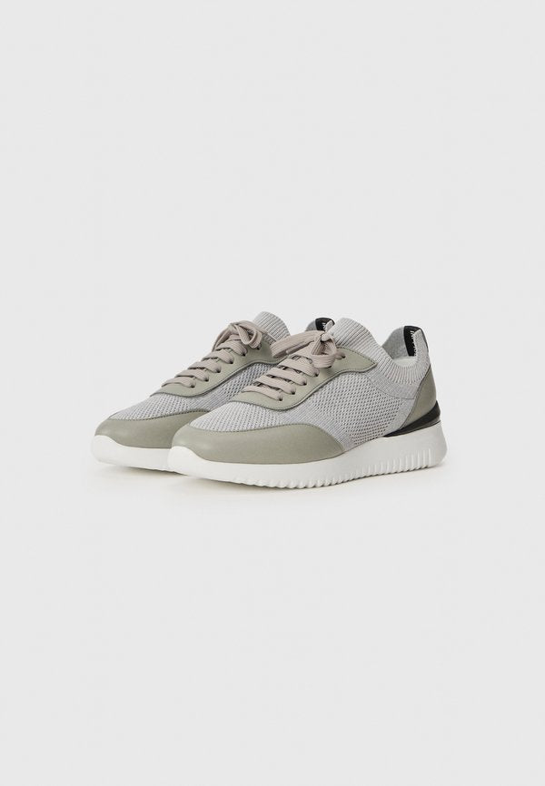 Pollini