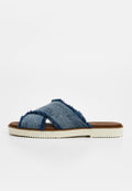 TOMS MAE