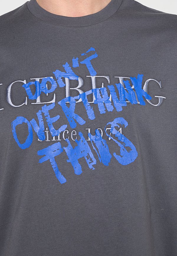Iceberg
