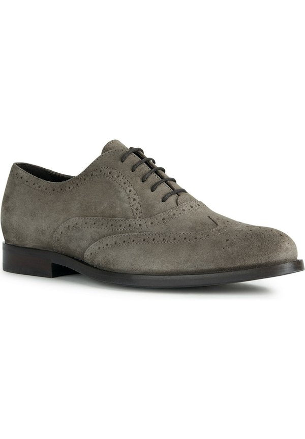 Geox U HAMPSTEAD