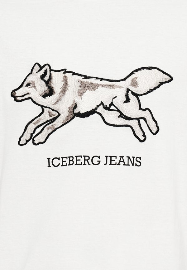 Iceberg