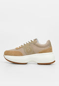 Pollini