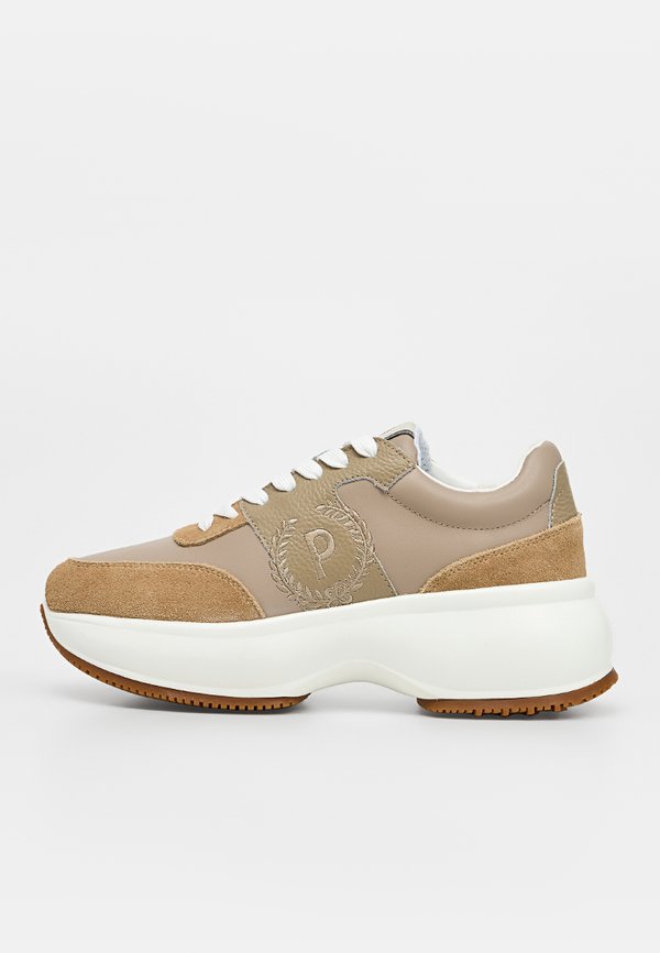 Pollini