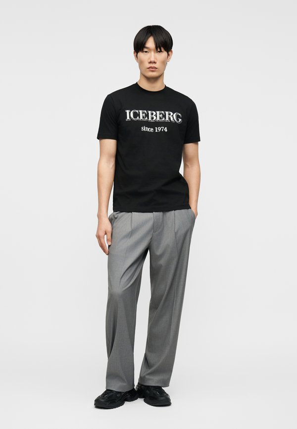 Iceberg