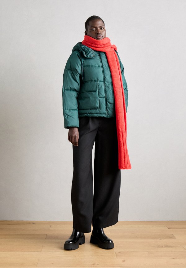 Scotch & Soda