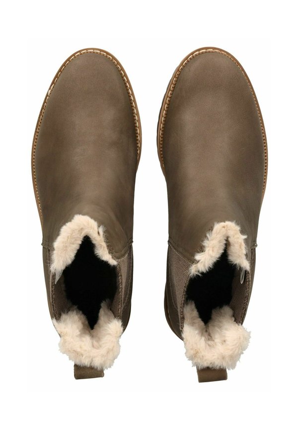 TOMS