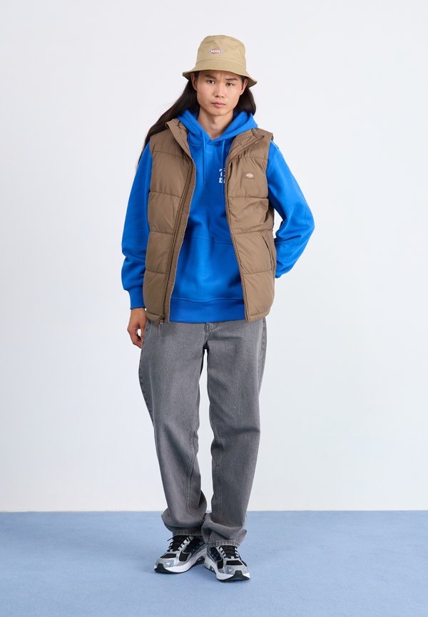 Dickies WALDENBURG VEST