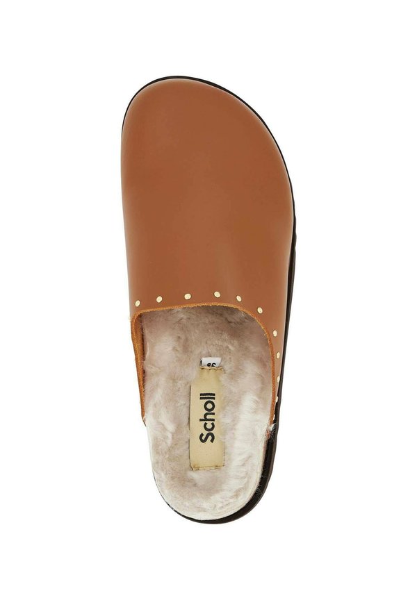 Scholl  FAE STUDS