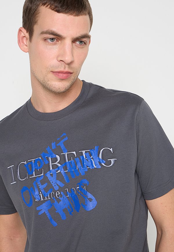Iceberg