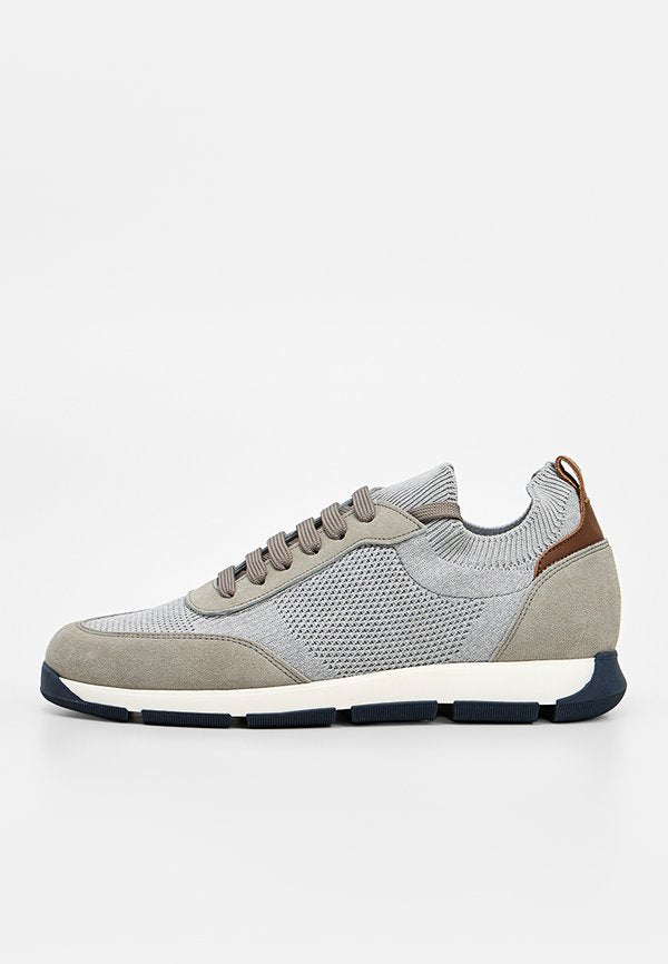 Pollini