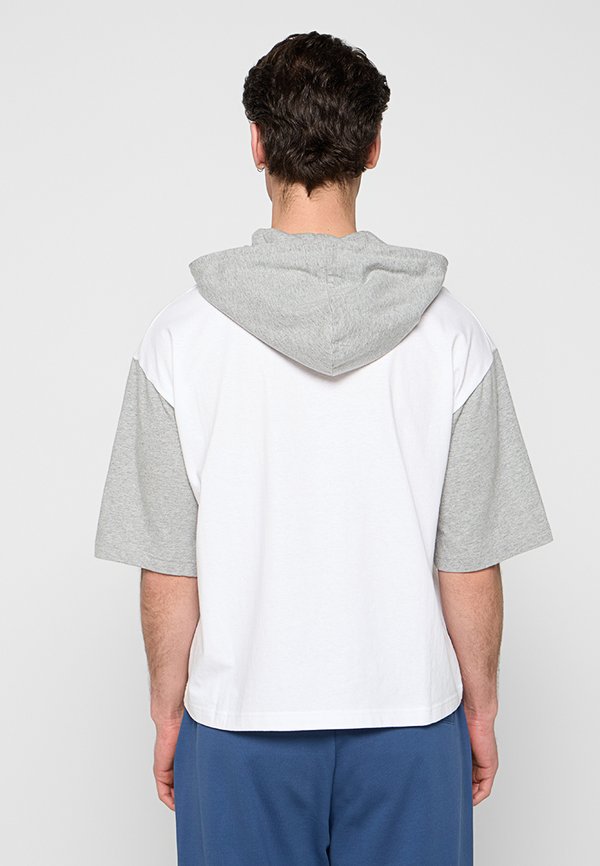 Iceberg