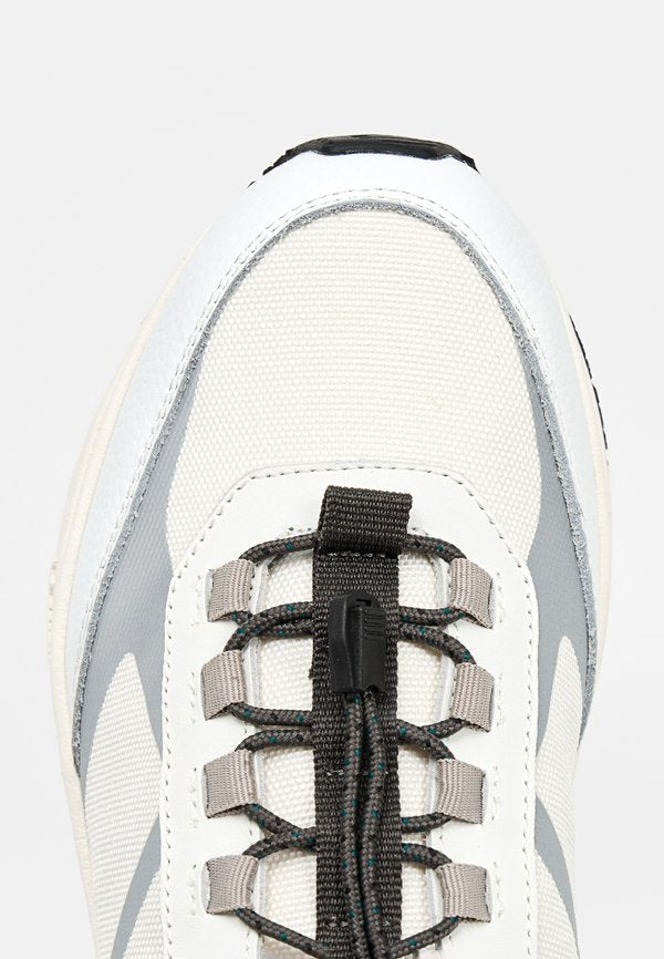 Pollini