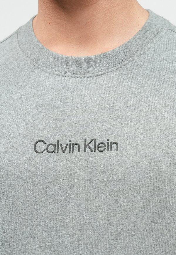 Calvin Klein STANDARD LOGO TEE