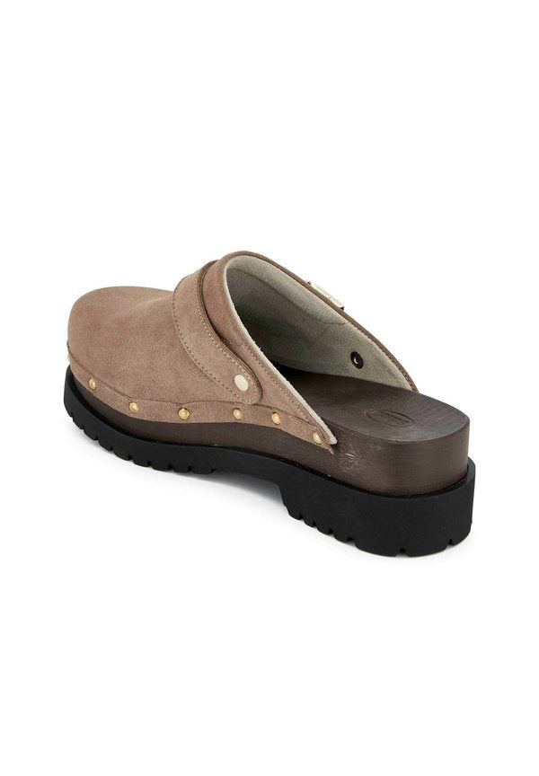 Scholl CINDY