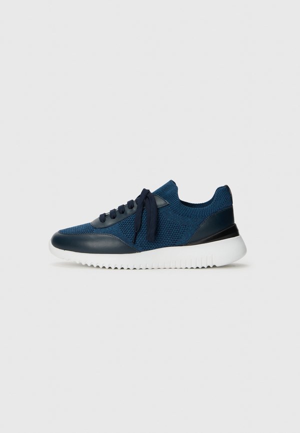 Pollini