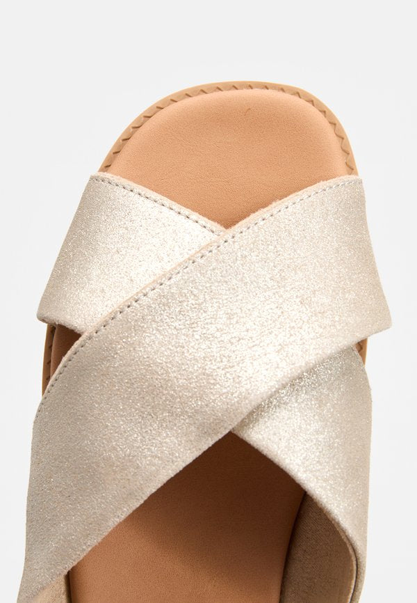 TOMS MAE