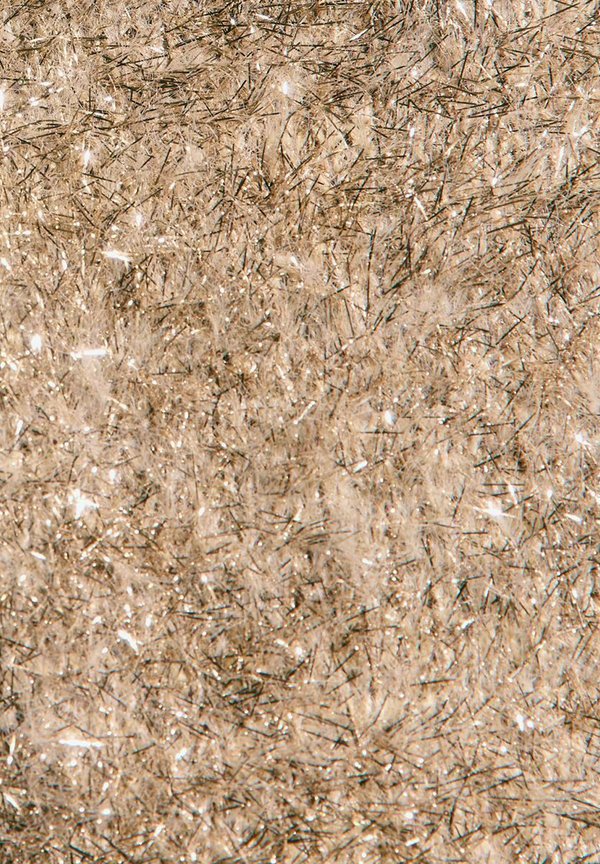 New Look FLUFFY SPARKLE SHORT SLEEVE