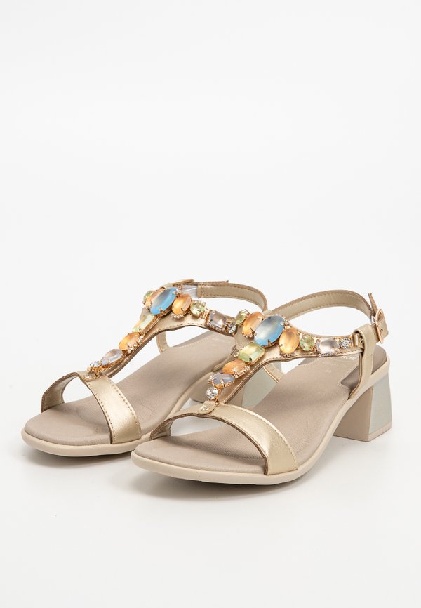 Scholl PALEA