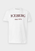Iceberg