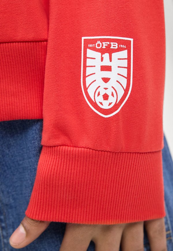 Puma AUSTRIA ÖFB FTBLCULTURE RELAXED HOODIE